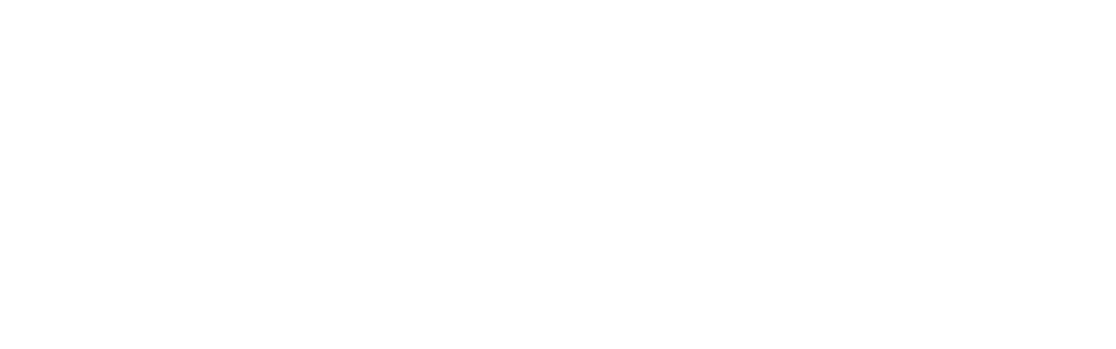 Carvvy Auto Group